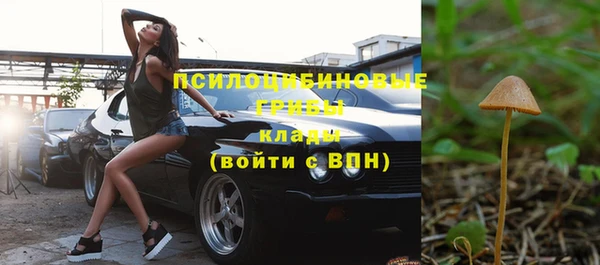 ПСИЛОЦИБИНОВЫЕ ГРИБЫ Алзамай
