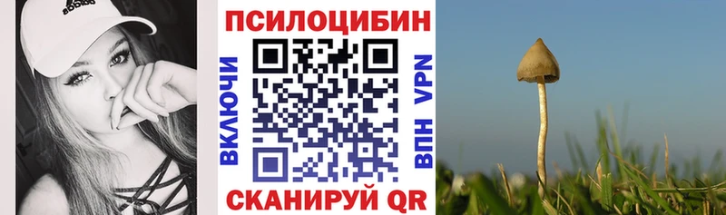 Псилоцибиновые грибы GOLDEN TEACHER Купить закладки Моздок